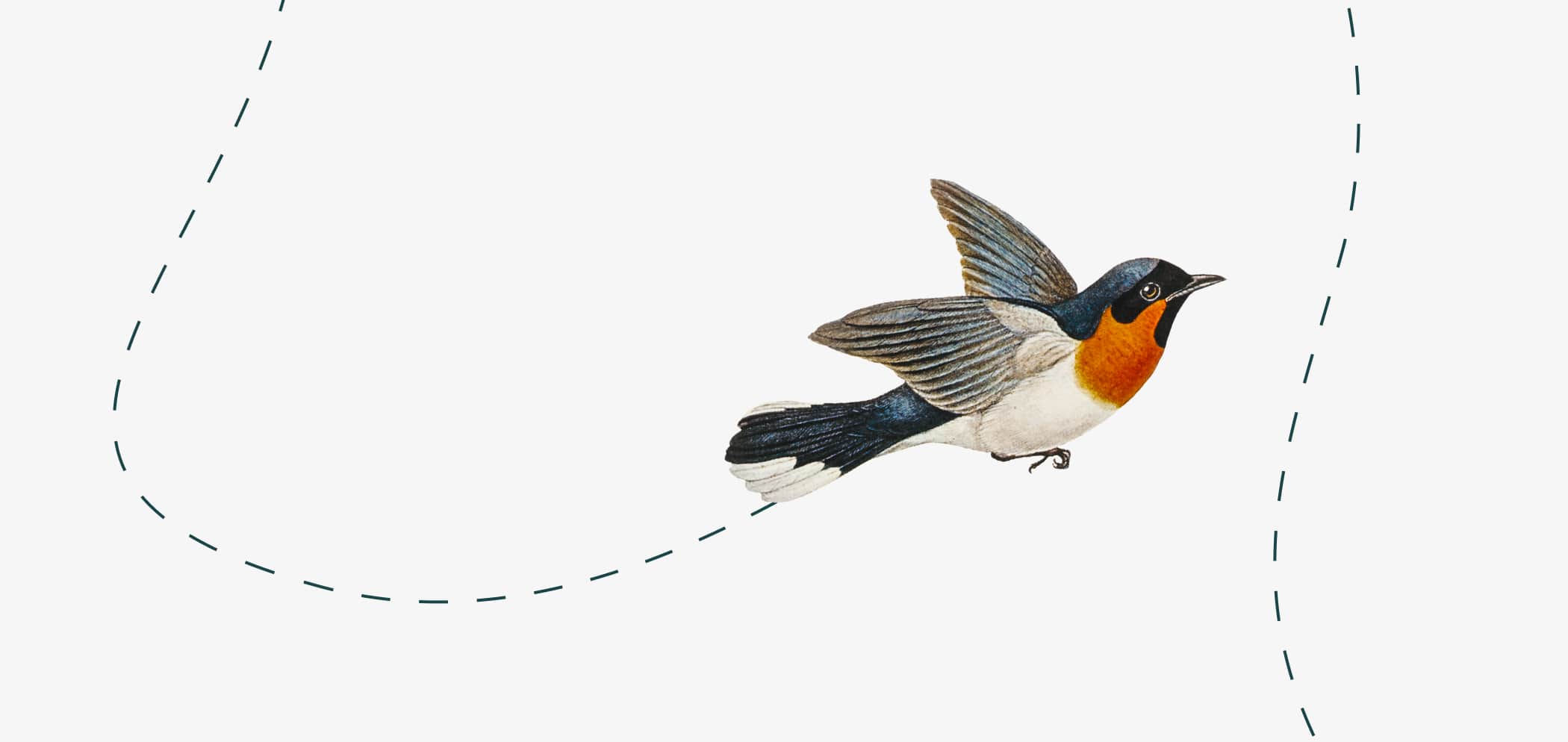 Ilustración de un pájaro volando.