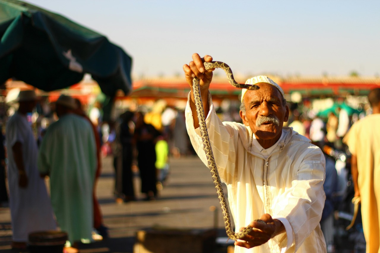 8 Days Tour From Fes To Marrakech