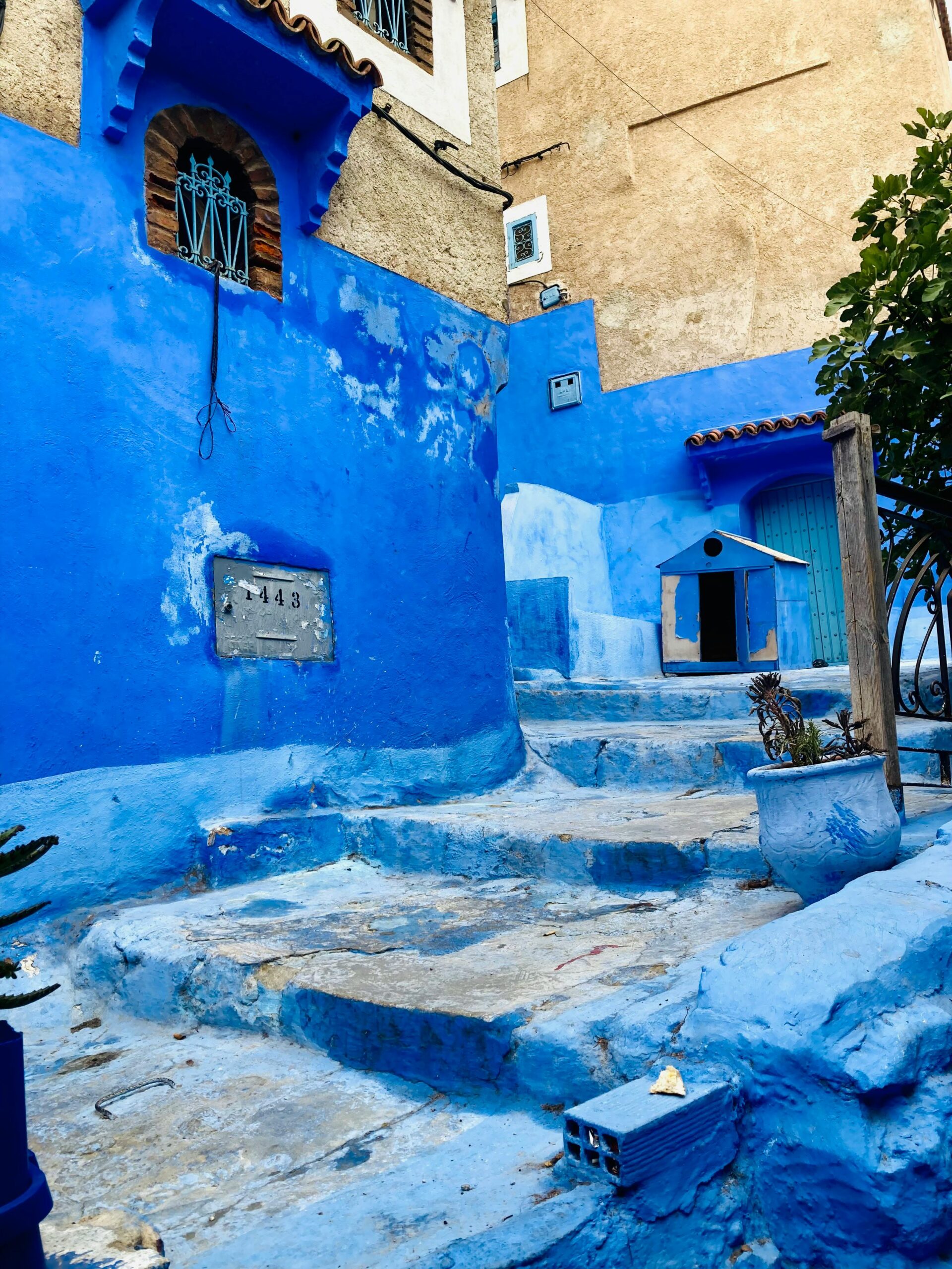 Chefchaouen Tours