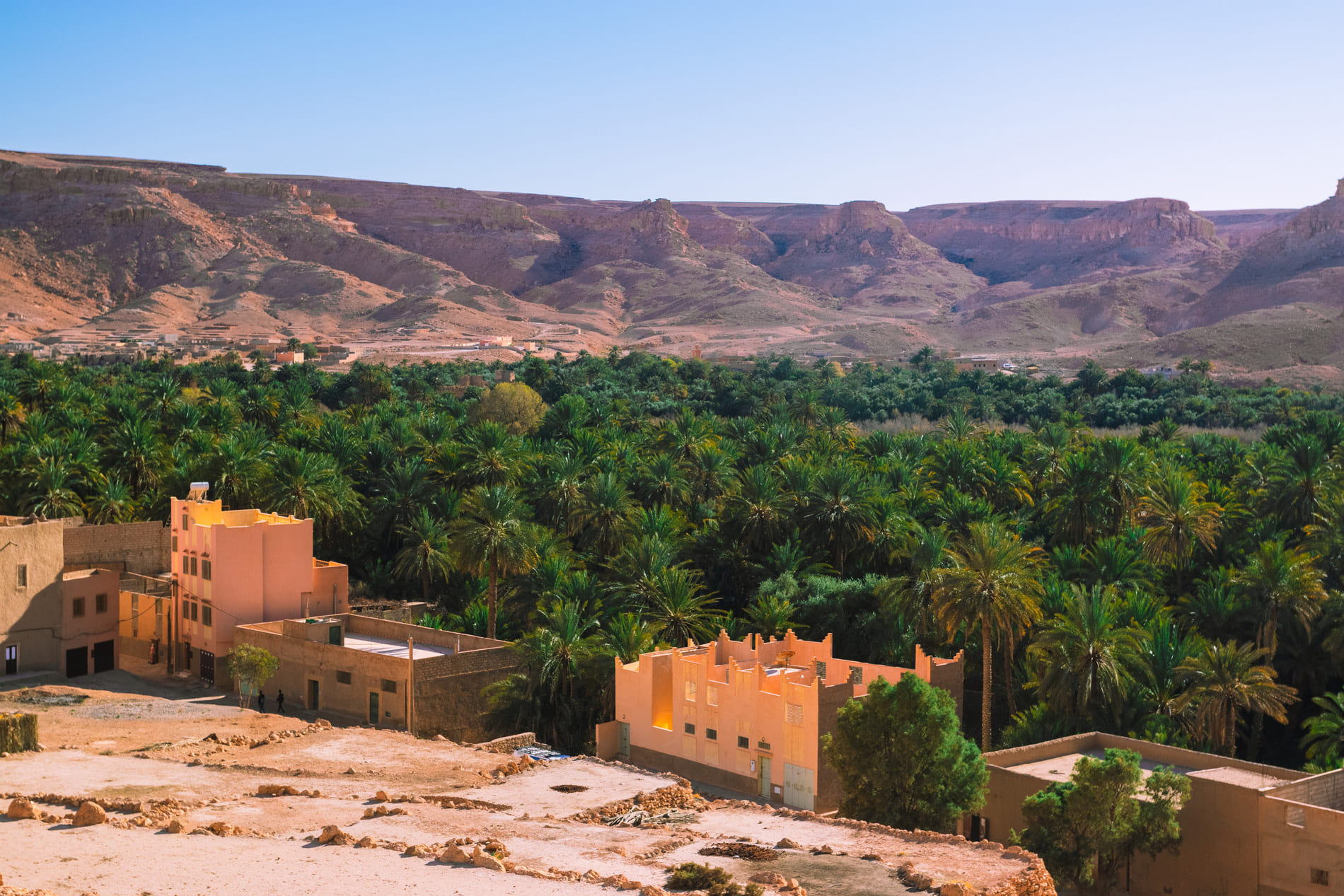 Erfoud and desert oasis​