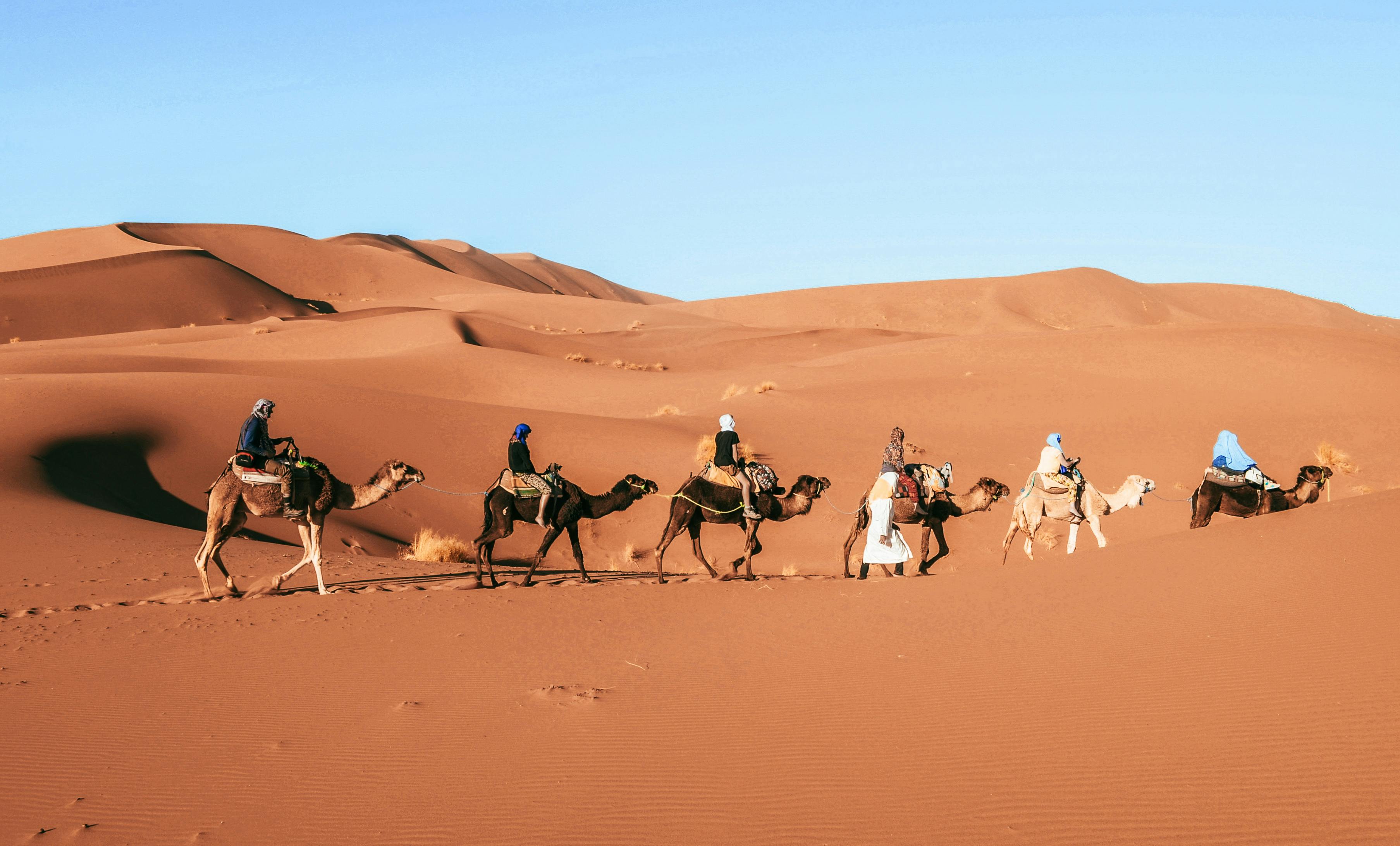 Tour to The Merzouga Desert​