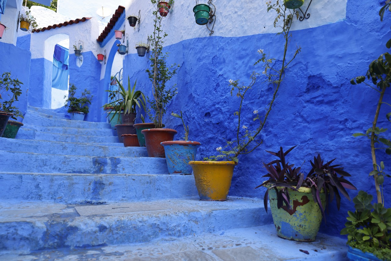Tour to Chefchaouen​